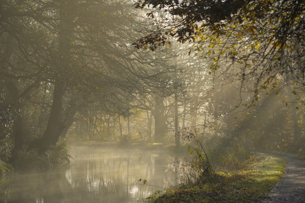 Morning Mist on the Caldon Canal at Longsdon, Staffordshire