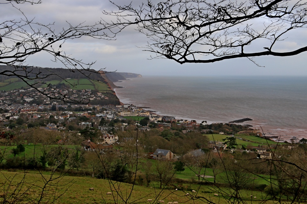 Sidmouth from high