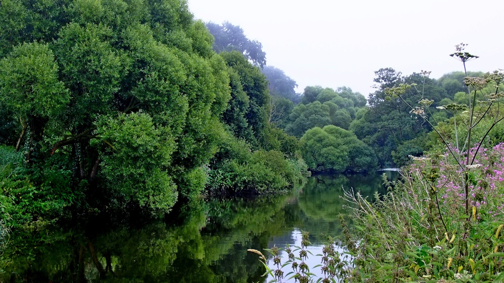 The River Otter