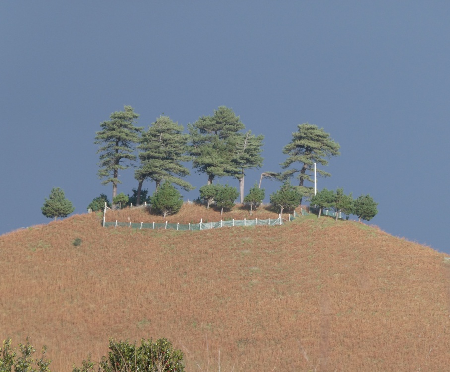 Photograph of Colmer Hill