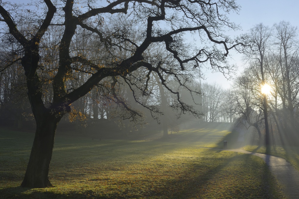 Photograph of Brough Park, Leek, Staffordshire