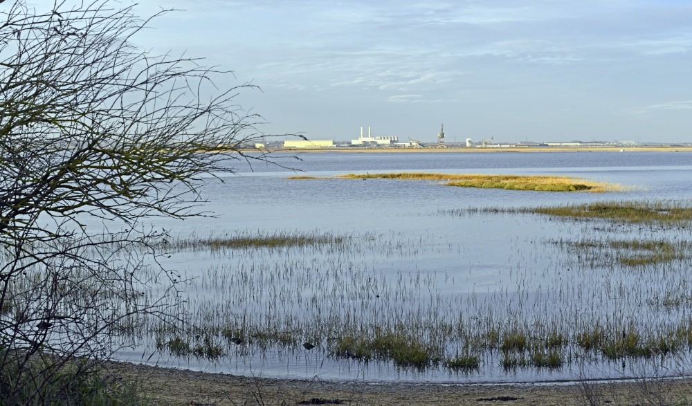 River Medway at Gillingham Riverside Country Park photo by Paul V. A. Johnson