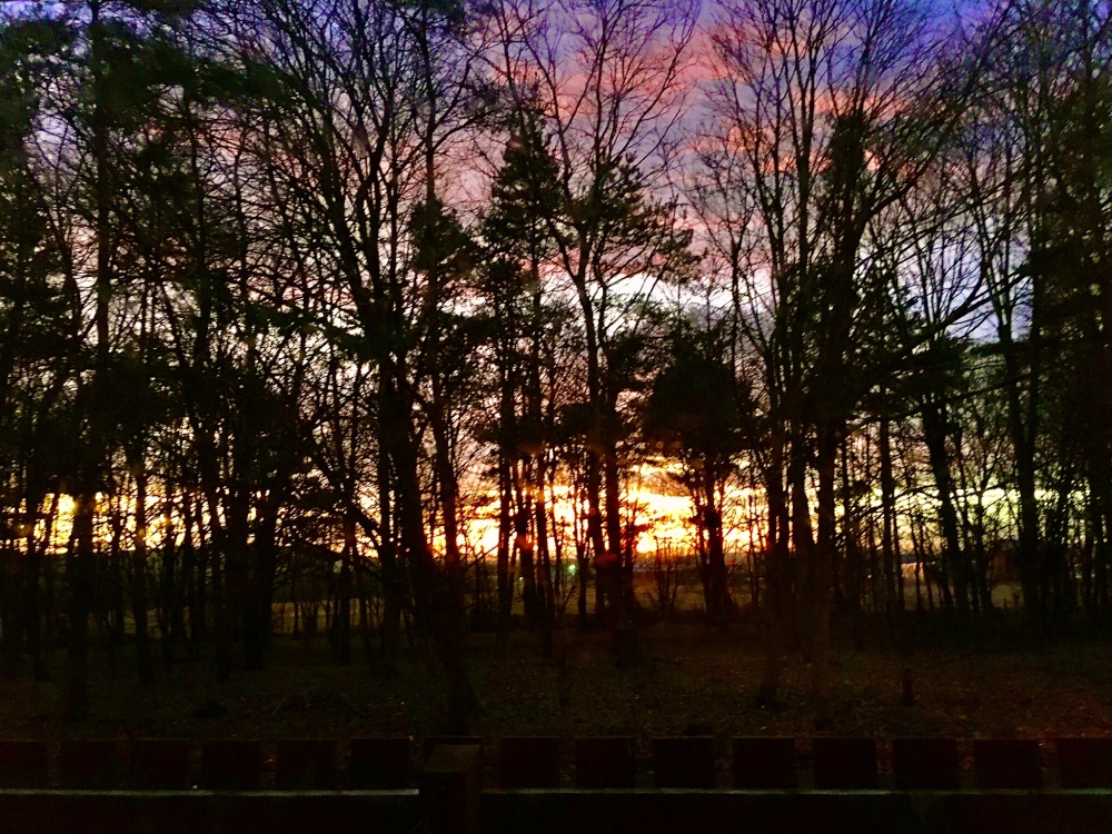 Sunset  Auckland Park, Bishop Auckland.