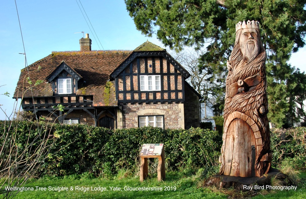 Wellingtonia Tree Sculpture &,Ridge Lodge, Yate, Gloucestershire 2019