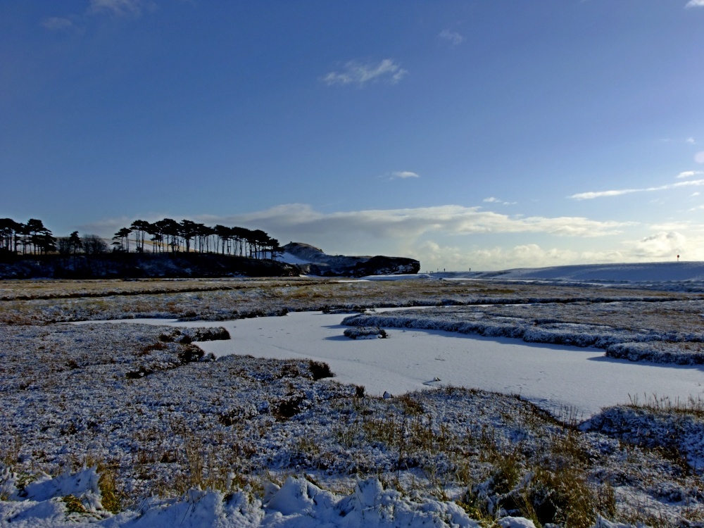 Budleigh Salterton's salt beds