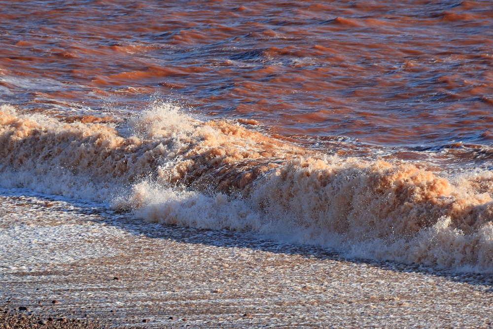 Red waves of Budleigh
