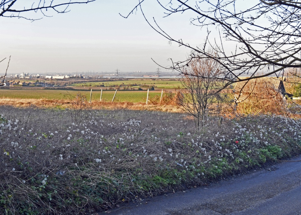 Gravesend and the Thames from Shorne