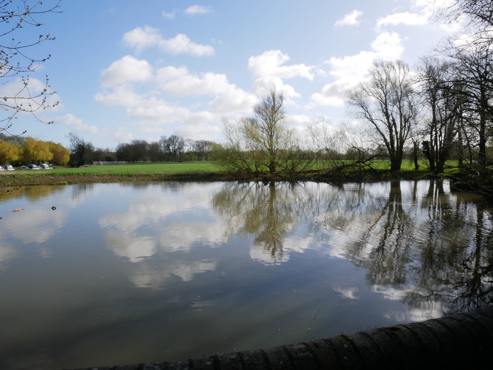 Photograph of Trees on the banks of the River Great Ouse, near Brampton