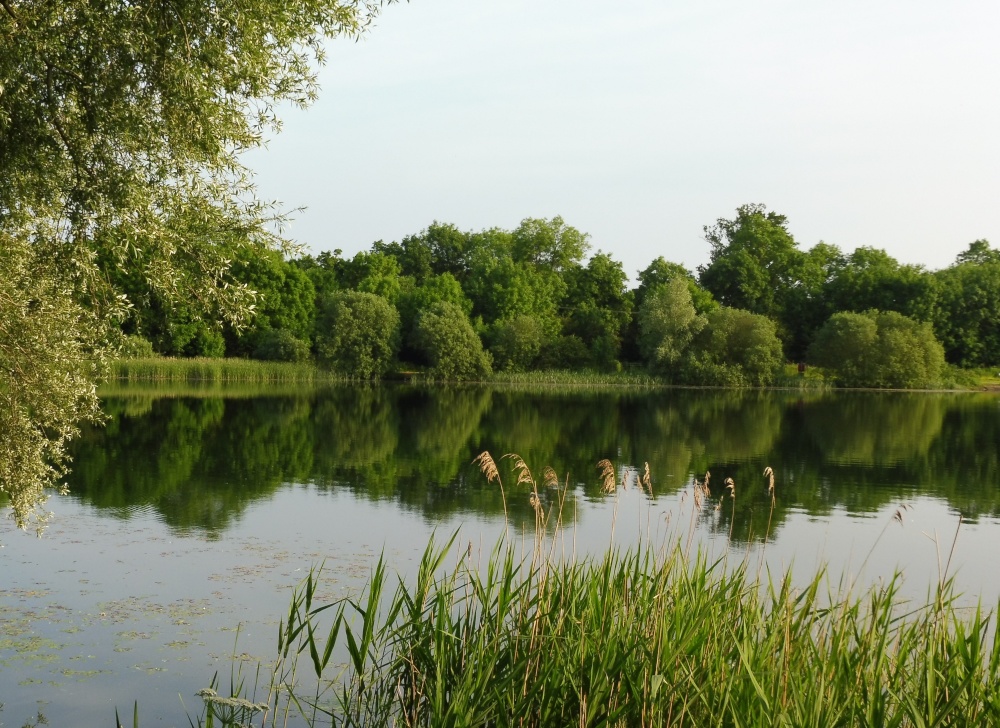 Lake scene near Hinchingbrooke County Park, Huntingdon