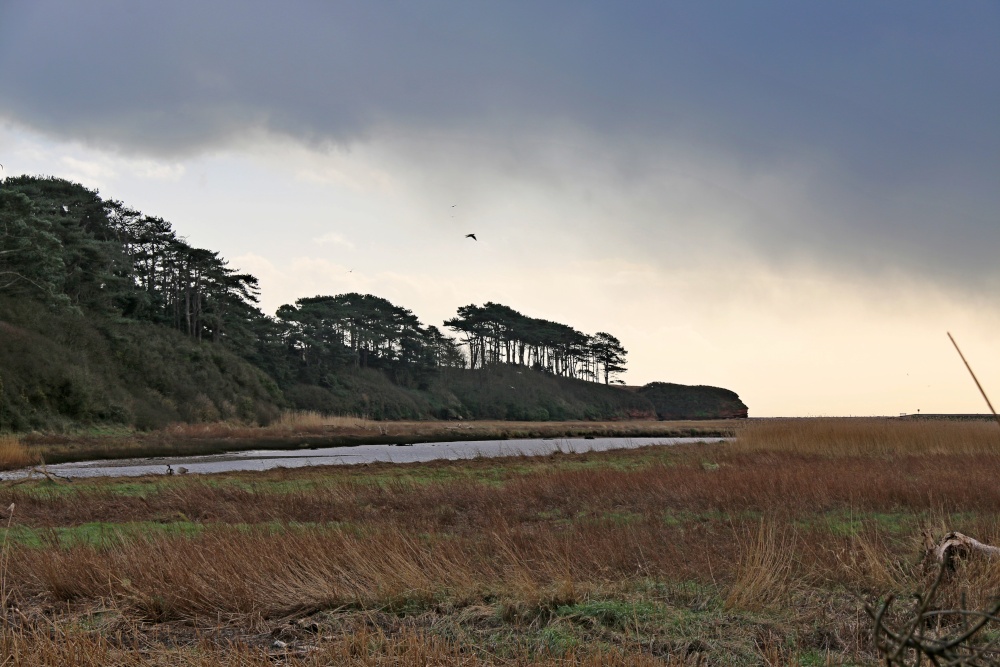 Otter Head at Budleigh Salterton