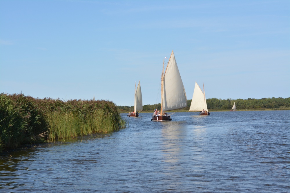 Norfolk Broads Sailing Yachts.3