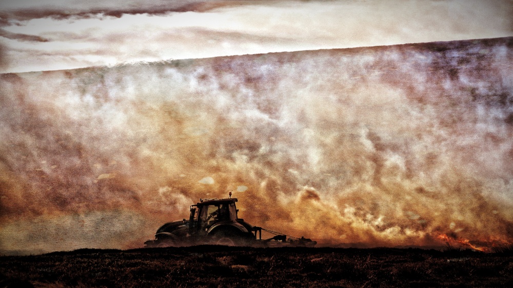 Burning Heather in Weardale