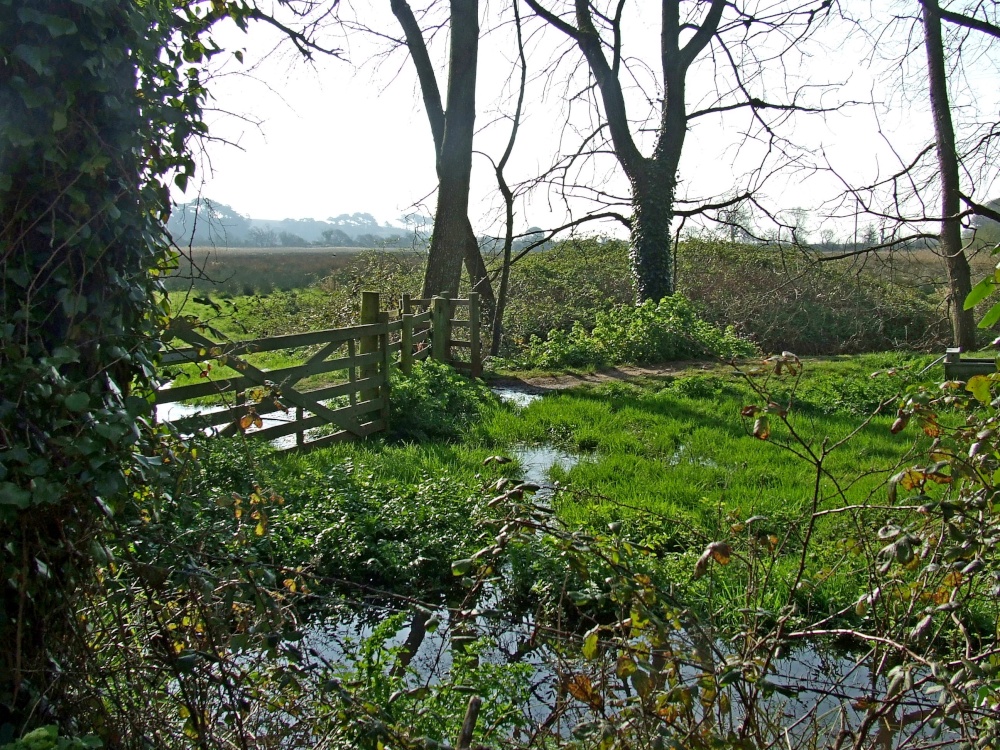 Kersbrook near Budleigh Salterton
