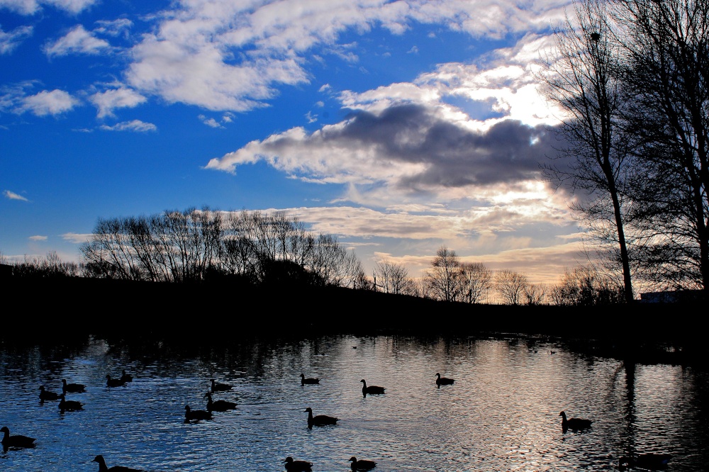 Ferrymoor Flash Grimethorpe