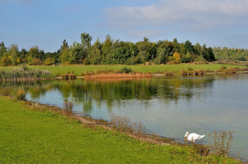 Photograph of Anglers Country Park