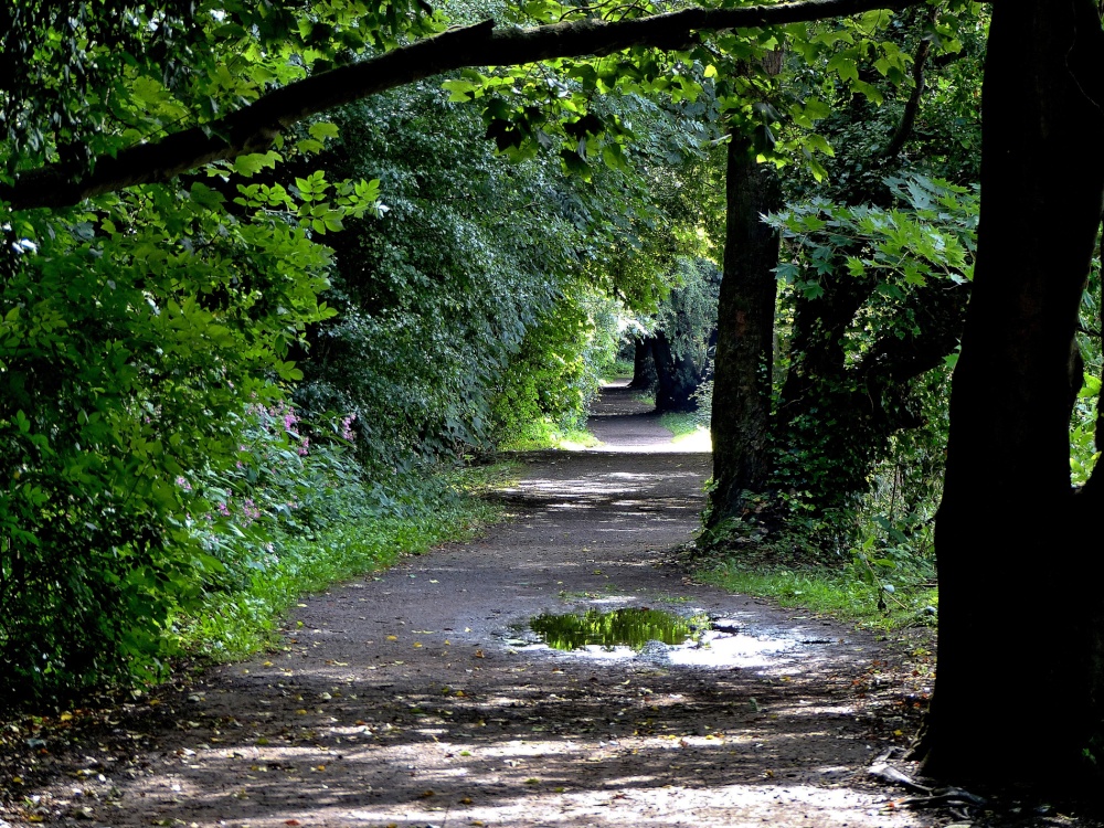 Riverside Walk, Sprotbrough
