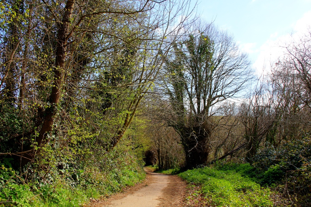 Otterton link road to Budleigh