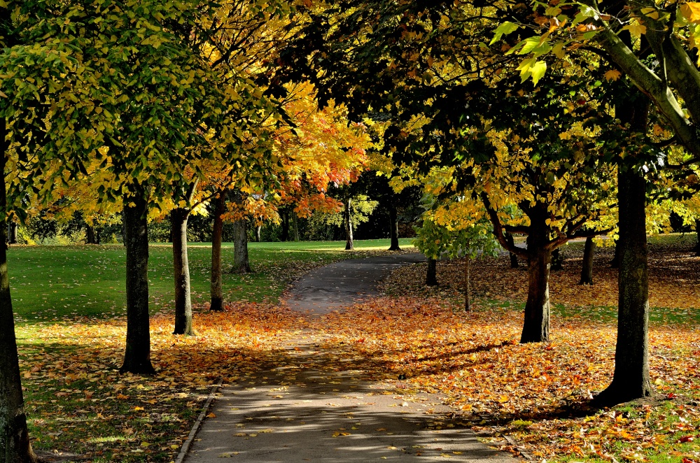 Locke Park, Barnsley