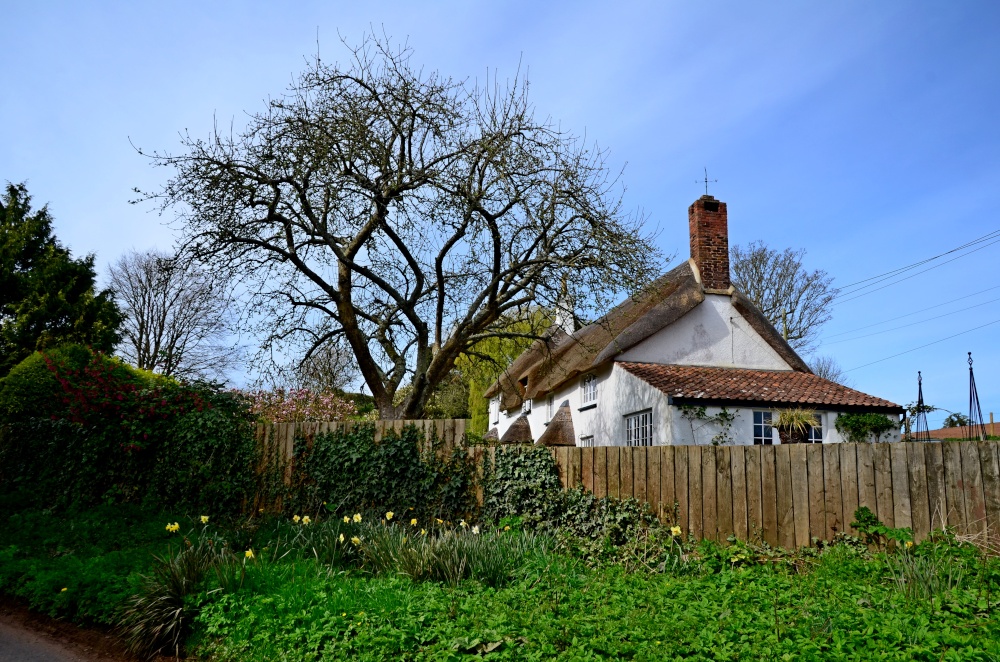 Wild Goose Cottage - Otterton