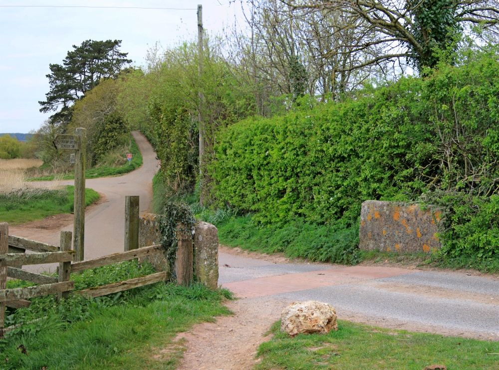 Pynes Farm, Budleigh Salterton