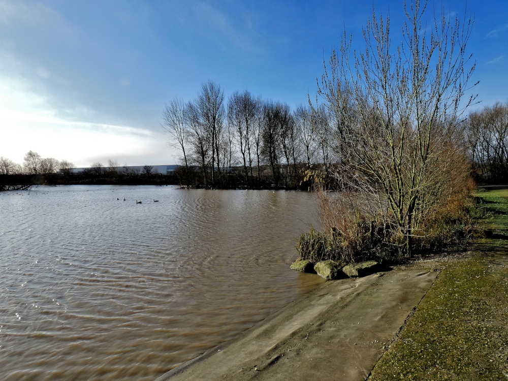 Ferrymoor Flash, Grimethorpe