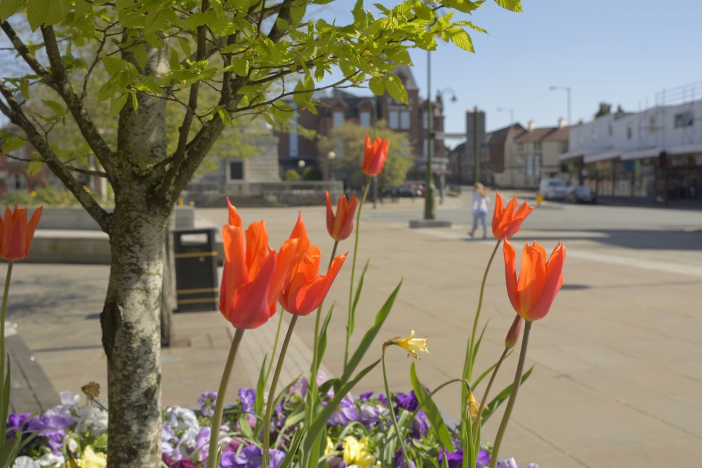Photograph of Lockdown in Leek, Staffordshire