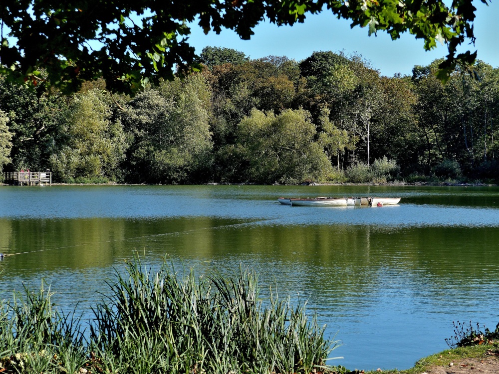 Photograph of Hatfield Forest Country Park, Takeley