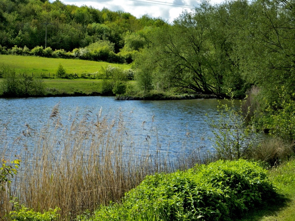 Poolsbrook Country Park, Staveley
