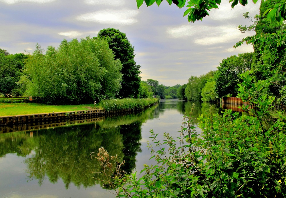 River Don, Sprotbrough