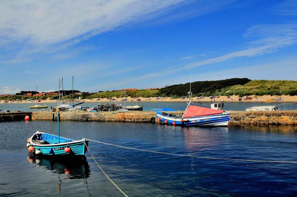 The Harbour, Beadnell