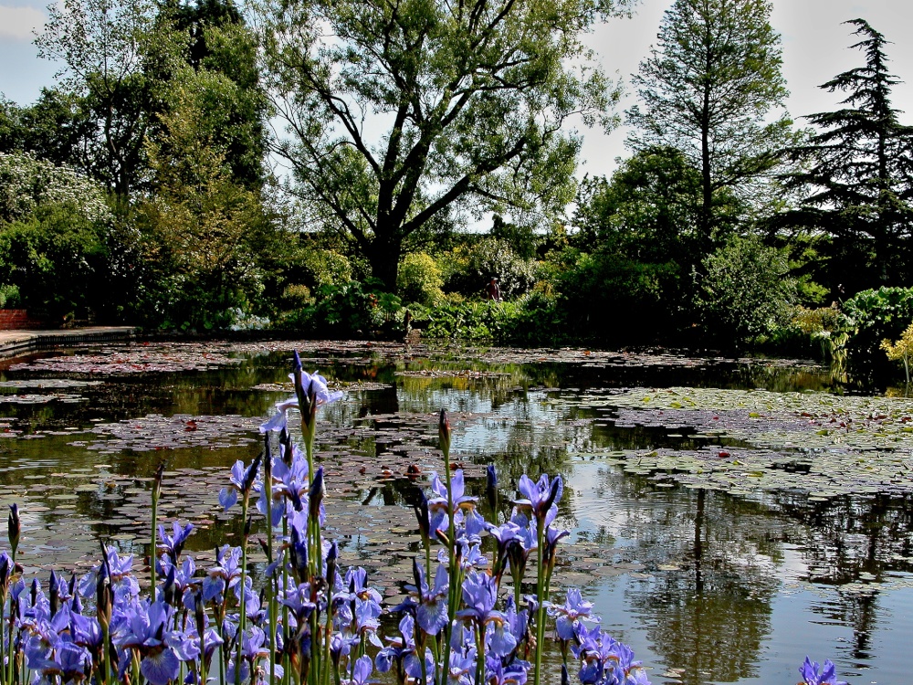 Lake at Hyde Hall Rettendon near Chelmsford