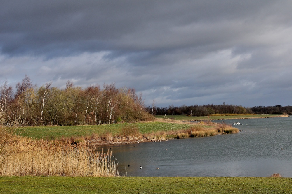 Anglers Country Park, Wintersett photo by Tom Curtis