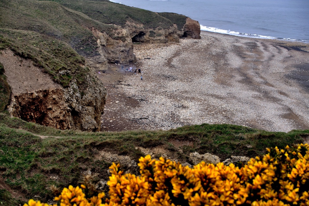 Blackhall Rocks Nature Reserve near Durham
