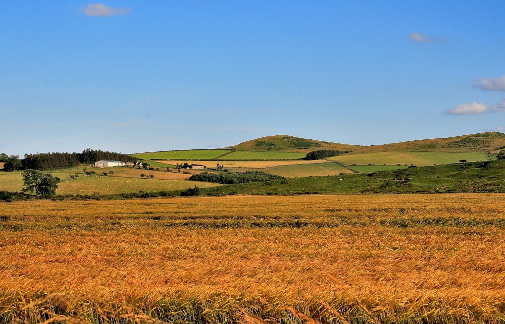 Photograph of Breamish Valley near  Ingram