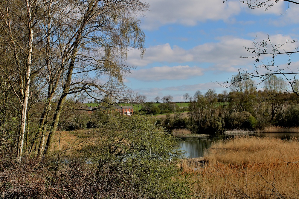 Carlton Marsh Nature Reserve photo by Tom Curtis