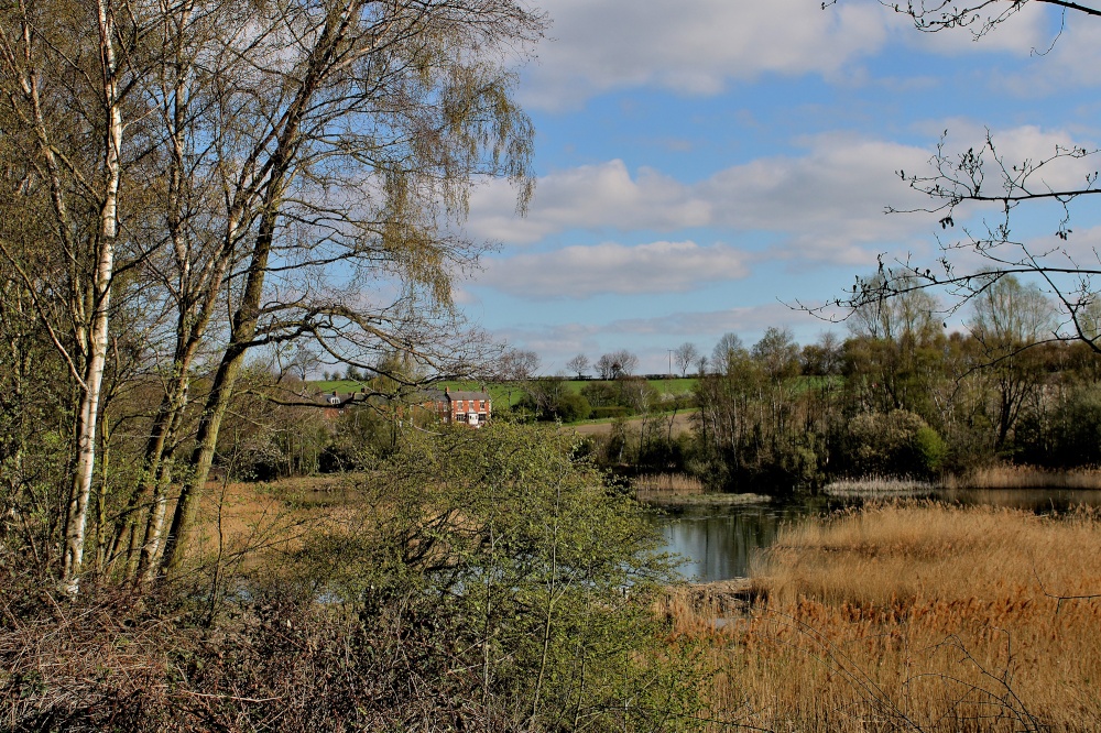 Carlton Marsh Nature Reserve photo by Tom Curtis