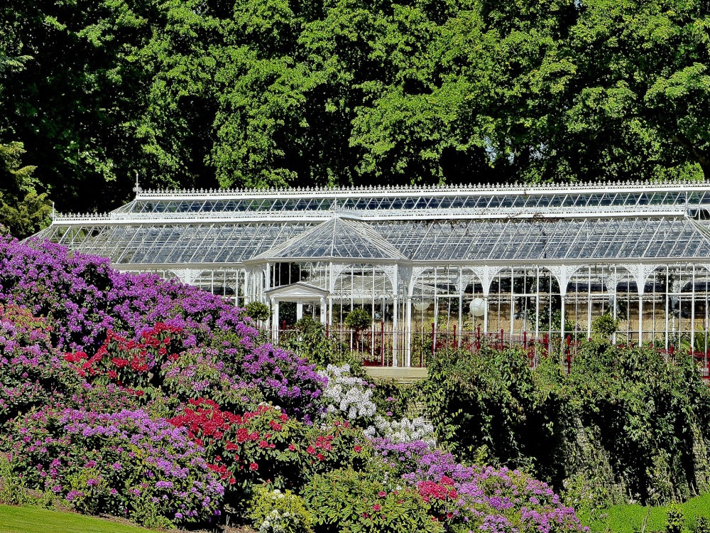 Conservatory, Wentworth Castle, Barnsley