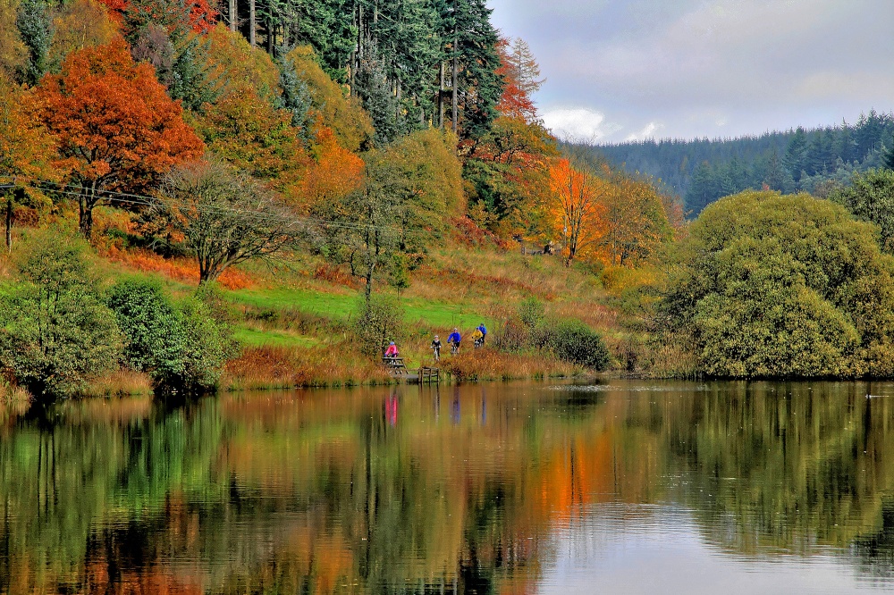 Autumn in the Dalby Forest photo by Tom Curtis
