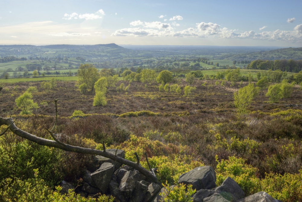 Gun Moor near Heaton & Swythamley, Staffordshire Moorlands