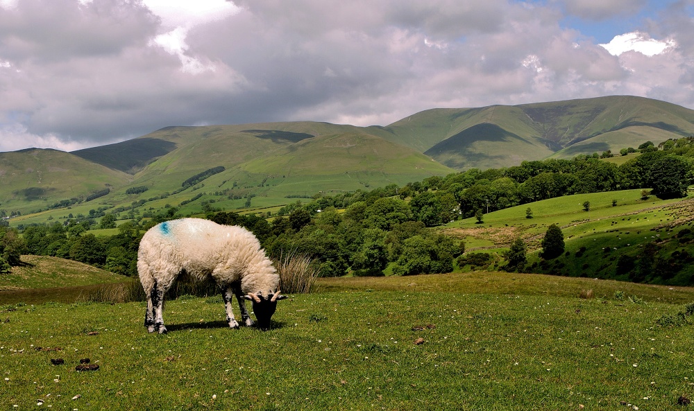 Photograph of Dent Fault, Cumbria
