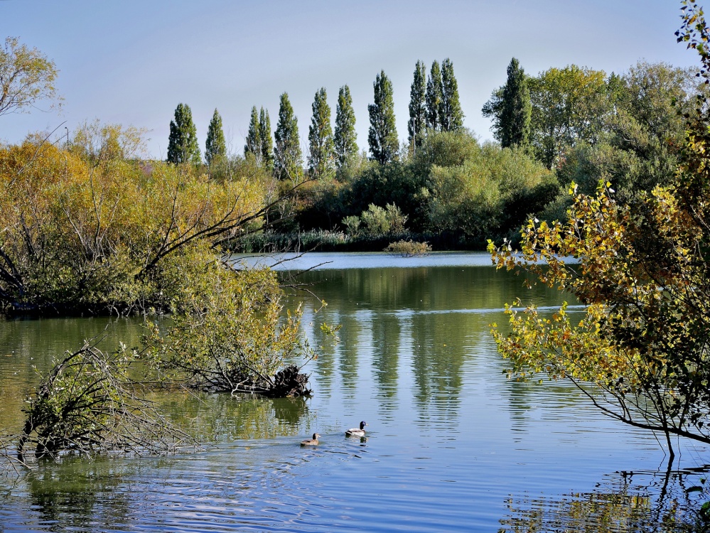 Ferrymoor Flash near Grimethorpe