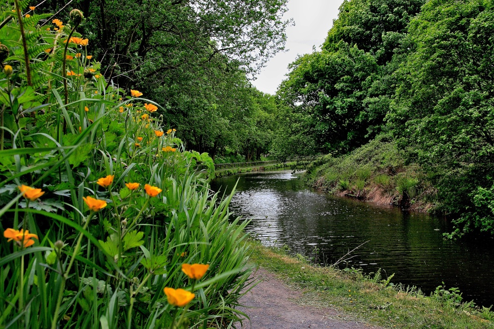 Huddersfield Narrow Canal