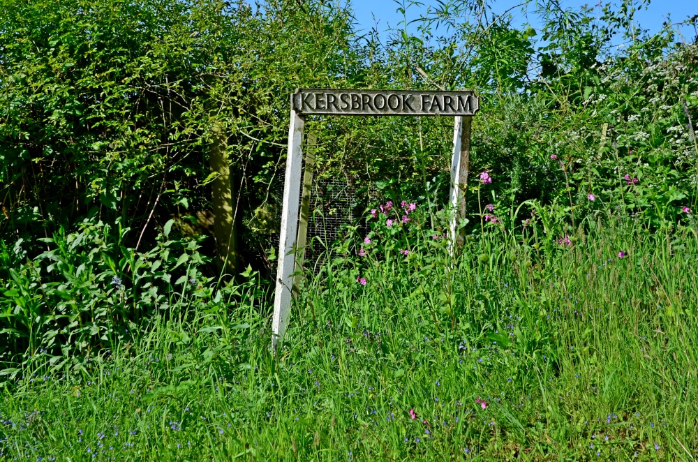 Kersbrook near Budleigh Salterton
