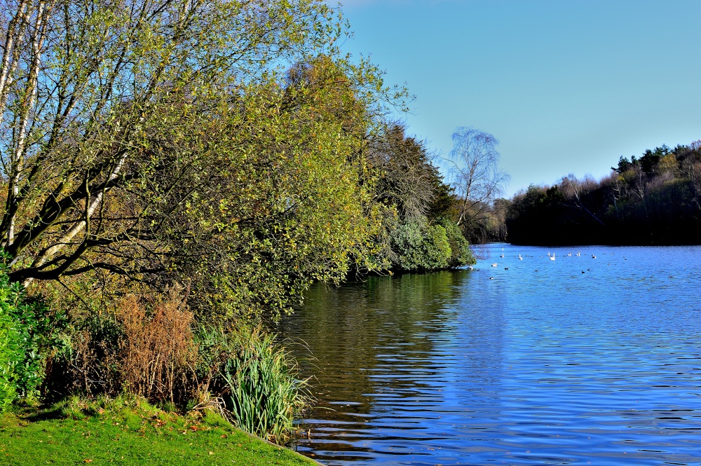 Lake at Clumber Park, Worksop