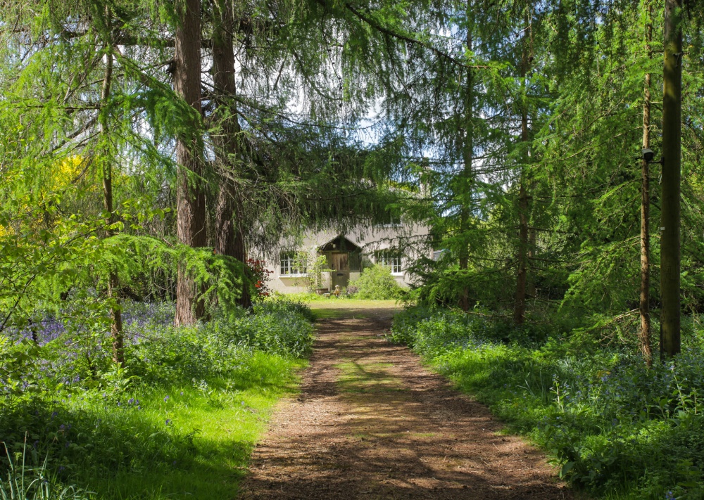 Photograph of Beautiful Woodland Cottage, Kent