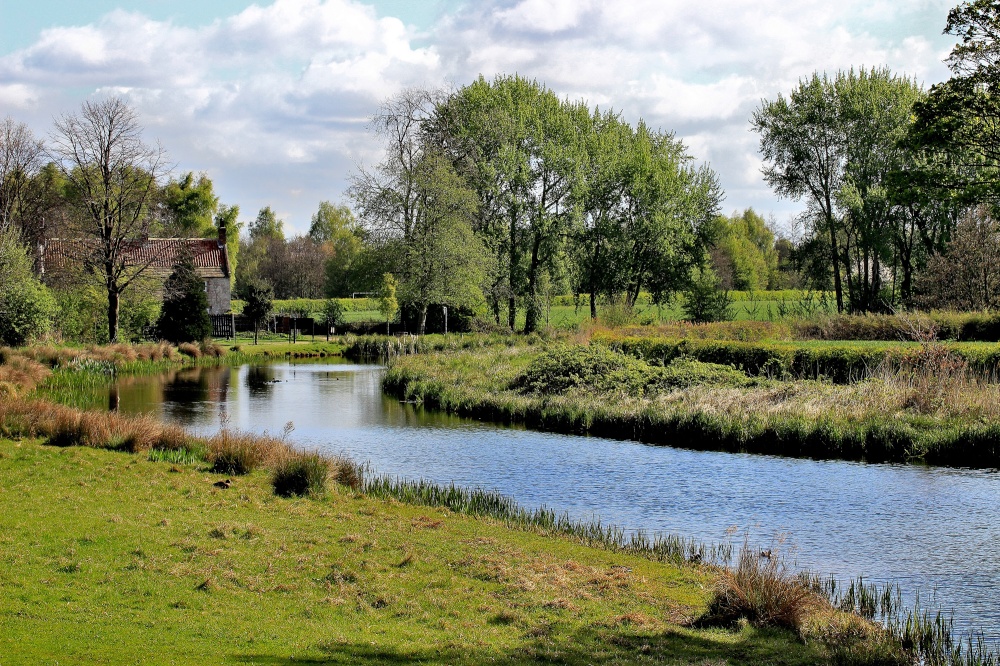 Lower Fish Pond, Cusworth Hall, Doncaster photo by Tom Curtis