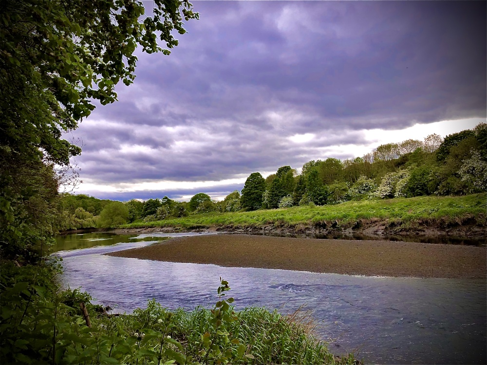 Sunday stroll and serenity.