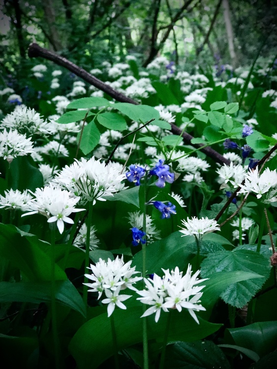 Blooming marvellous.