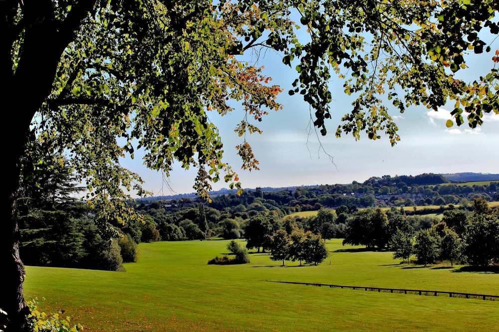 Parkland at Cannon Hall Country Park, Cawthorne photo by Tom Curtis