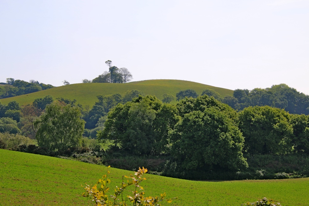 Looking over the Otter Valley